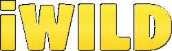 Casino-Logo